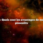 Question : Quels sont les avantages de manger des pissenlits